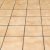 Avondale Tile & Grout Cleaning by Phoenix Steam Pros